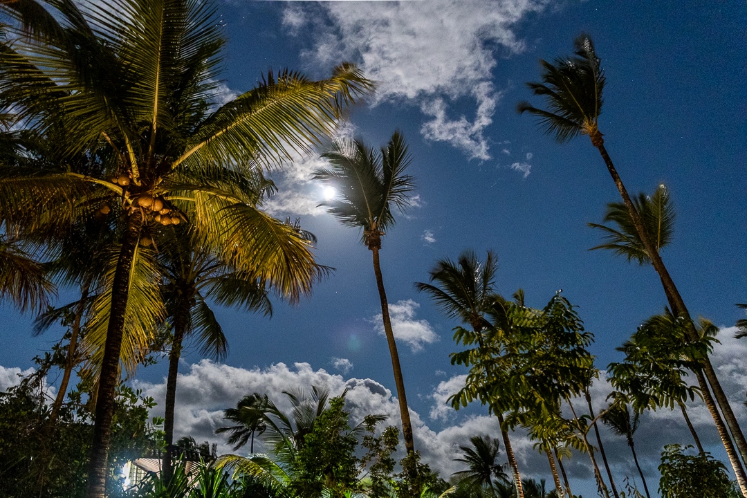 672A4487-HDR